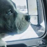 Stella Tyson - @stellatyson46 - Instagram