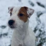 @stellatysonparsonrussel - Instagram