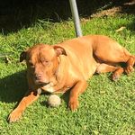 TYSON STELLA - @tyson_stella.02 - Instagram