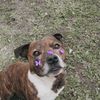 Tyson🥺 - @tyson_stella - TikTok
