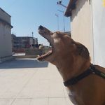 tyson_willy_stella_jimmi❤️ - @tyson_willy_stella_jimmi - Instagram
