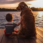 Tyson&stella - @stellatyson123 - Instagram