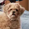 stellaulrich685 - @stellaulrich685 - TikTok