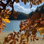 Stella T. Fair-Upton - Facebook