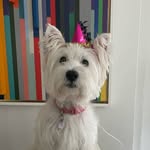 Stella Varela Santa Cruz - @stellalabella100 - Instagram