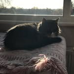 Stella - @stella_vickers_ - Instagram