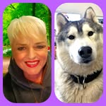 Stella Gavalda - Vidal - @stella_baikal_siberian_husky - Instagram