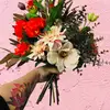 Cherie Jordan - @stella_and_vine - TikTok