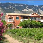 Stella Vineyard Studios - @stella.vineyard - Instagram