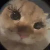 Stella Vitale - @stella.vitale4 - TikTok