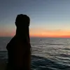 stella - @stellawade19 - TikTok