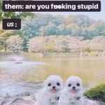 stella - @stellasewallpriv - Instagram