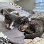Wallie & Stella - @wallieandstella - Instagram