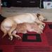Stella Waller - Facebook