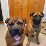 @stella_walters08 - Instagram