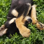 Stella Walters - @stell8walters - Instagram