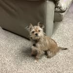 Stellawalters - @stella_walters2020 - Instagram