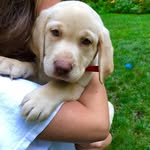 Stella of Delaware - @stella_ware - Instagram