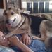 Stella Ware - Facebook