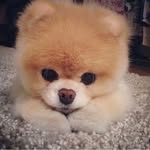 Stella Warren - @stellawarren6876 - Instagram