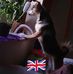 Stella Warren - Facebook
