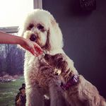 Stella And Penny Waters - @_stella_and_penny_ - Instagram