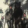 stellawaters5 - @stellawaters5 - TikTok