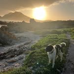 Stella Watson - @stella.watson.585 - Instagram