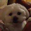 Stella2Watts - @stella2watts - TikTok