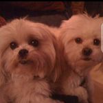 stella.watts.5473 - @stella.watts.54731 - Instagram