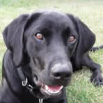 Stella Waugh - Facebook