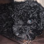 Stella Weaver - @stella.weaver0 - Instagram