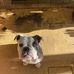 Stella Weaver - Facebook