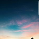 stella webb - @stella_webb - Instagram