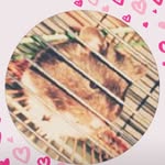 Stella Webster - @stella_webster1 - Instagram