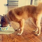 Stella - @stella__wheeler - Instagram