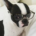 Stella Widman - Facebook