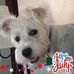 Stella Wilhelm - Facebook