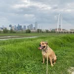 Stella Will - @stella_will_love - Instagram