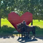 Stella Williams - @stellawilliamsnz - Instagram