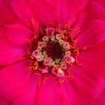 Stella Williams - @stellawilliams - Instagram