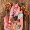 Pacific North Witch - @stellawitchery - TikTok