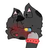 Stella wolf<3furry💝 - @stella.wolf3furry - TikTok