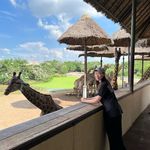 Stella Wu - @chustella - Instagram