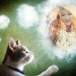 Stella Yap - @stella.yap.520 - Instagram