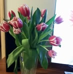 Stella Yau - Facebook