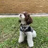Stella Yeo - @stella.yeo1 - TikTok