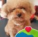 Stella Yip - Facebook