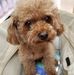 Stella Yip - Facebook