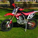 Steph Adams - @angryweasel3 - Instagram